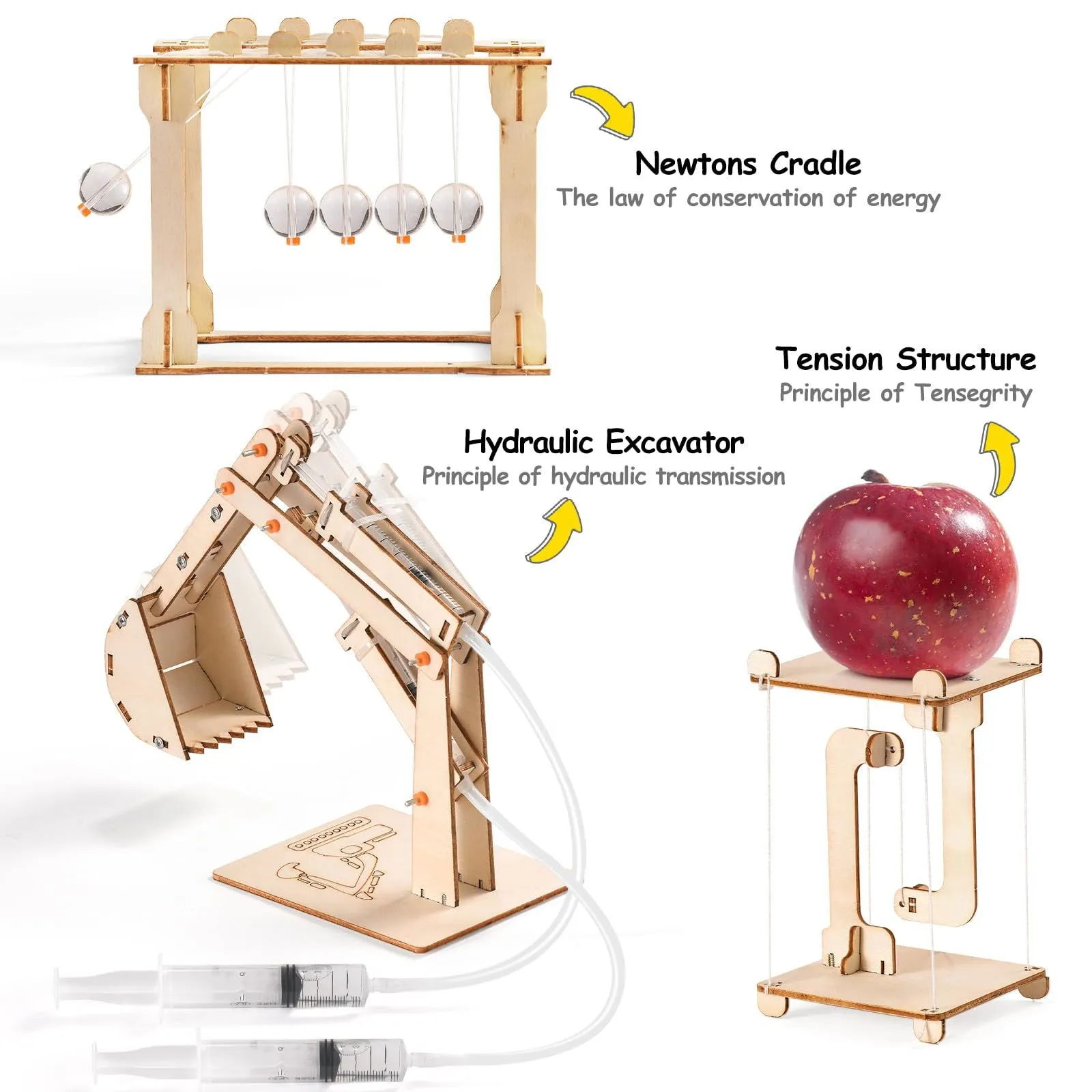 10 in 1 STEM Building Kits for Kids, Wood Craft Kit for Girls Age 8-12, Science Experiment Projects for 6-8, Woodworking Model Kit,3D Puzzles STEM