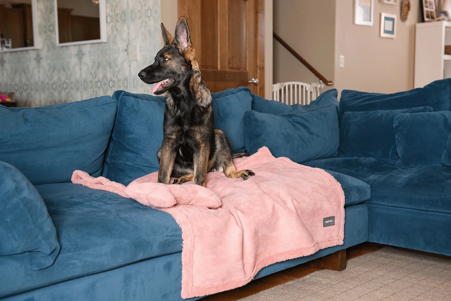 Big Sky Dog Blankets, Dusty Rose