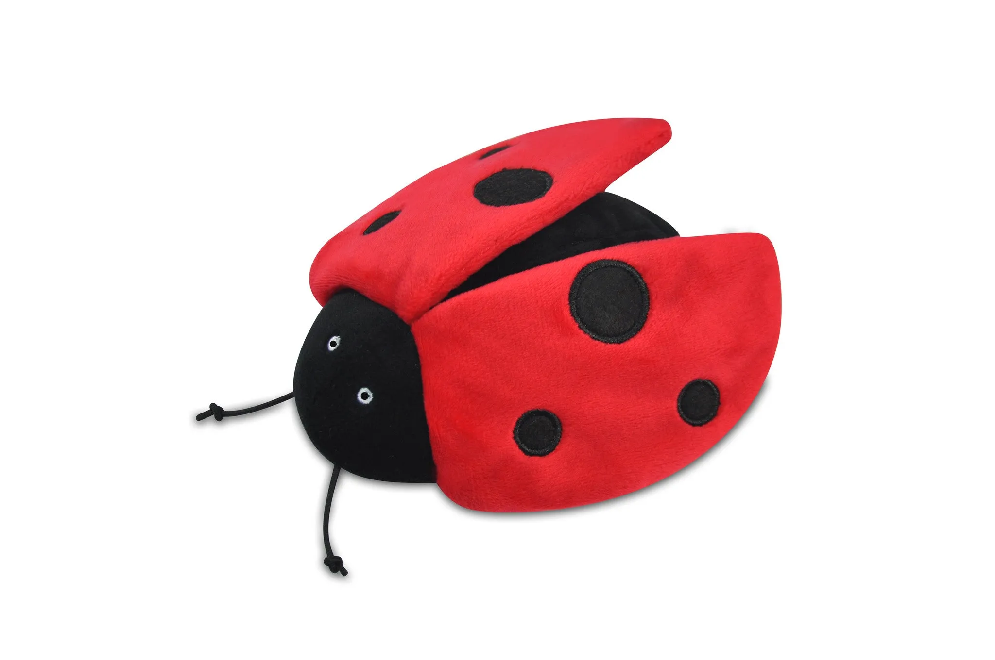 Bugging Out, Squeaky Plush Dog Toy