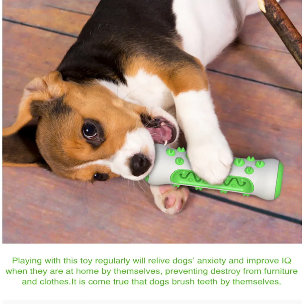 Chewing Toy for Dogs