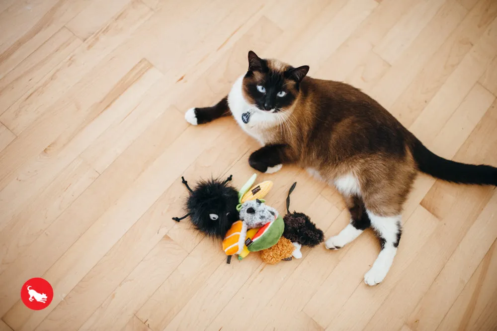 Feline Frenzy, Cat Toy set: Sassy Sushi