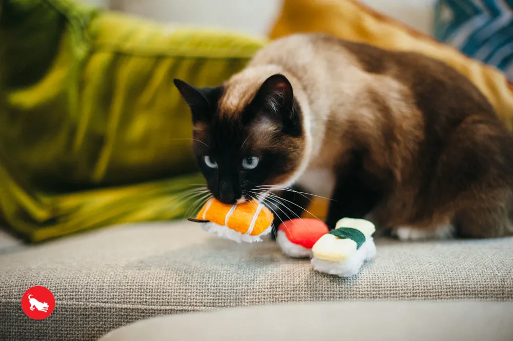 Feline Frenzy, Cat Toy set: Sassy Sushi