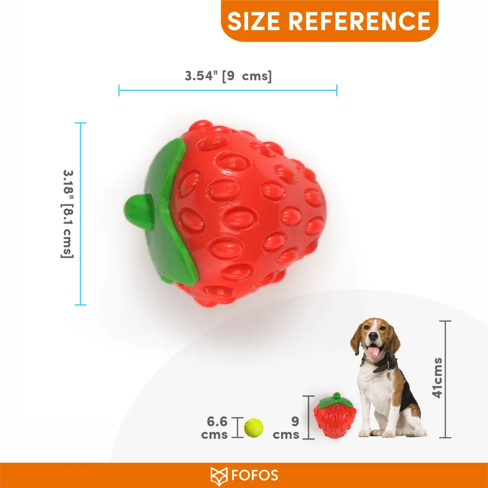 Fofos Silence Strawberry Squeaky Chew Toy for Dogs