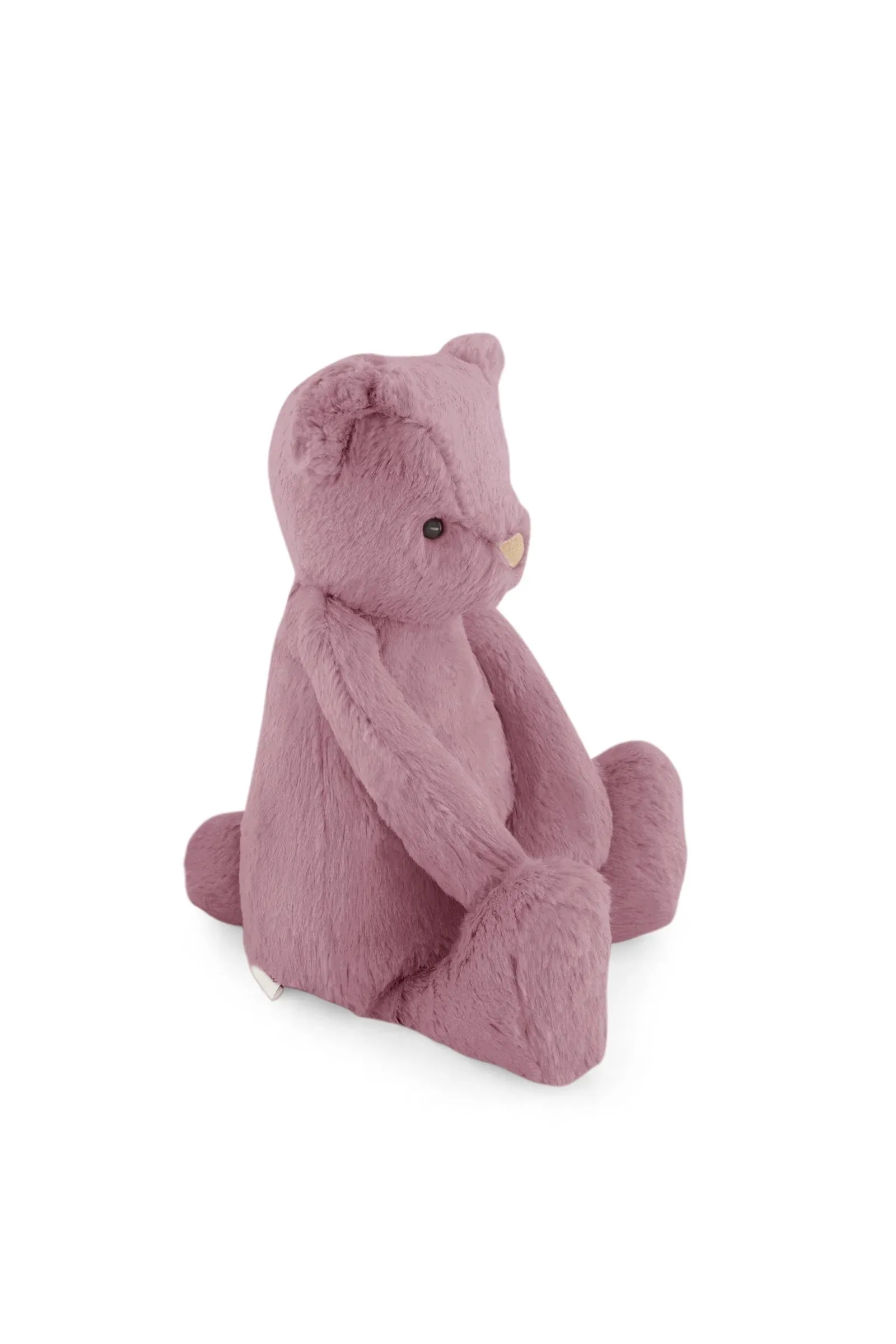 George the Bear - Lilium 30cm