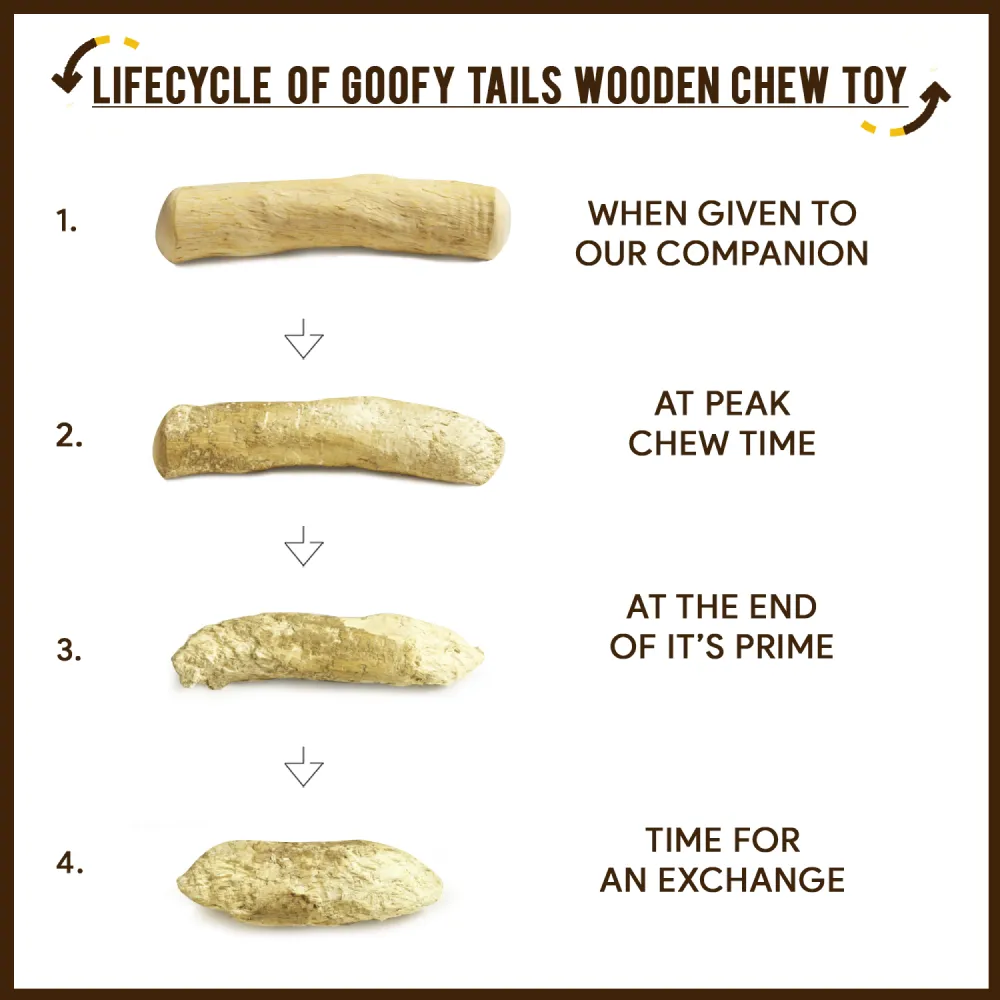 Goofy Tails Coffee Wood Chewing Stick Toy for Dogs | For Medium Chewers