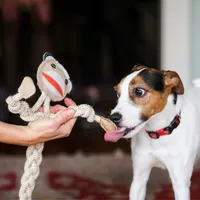 HuggleHounds Stuey Sock Monkey Rope Knottie®