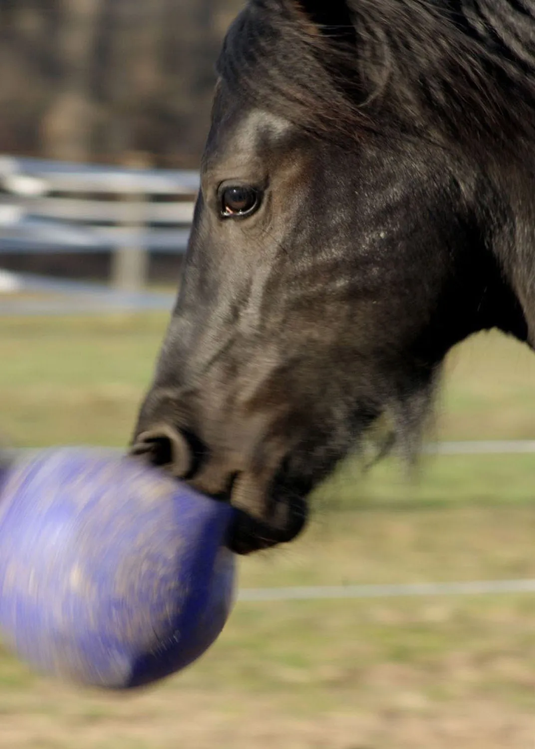 Jolly Ball® 10"