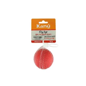 Kanu Pet Red Ball Dog Toy