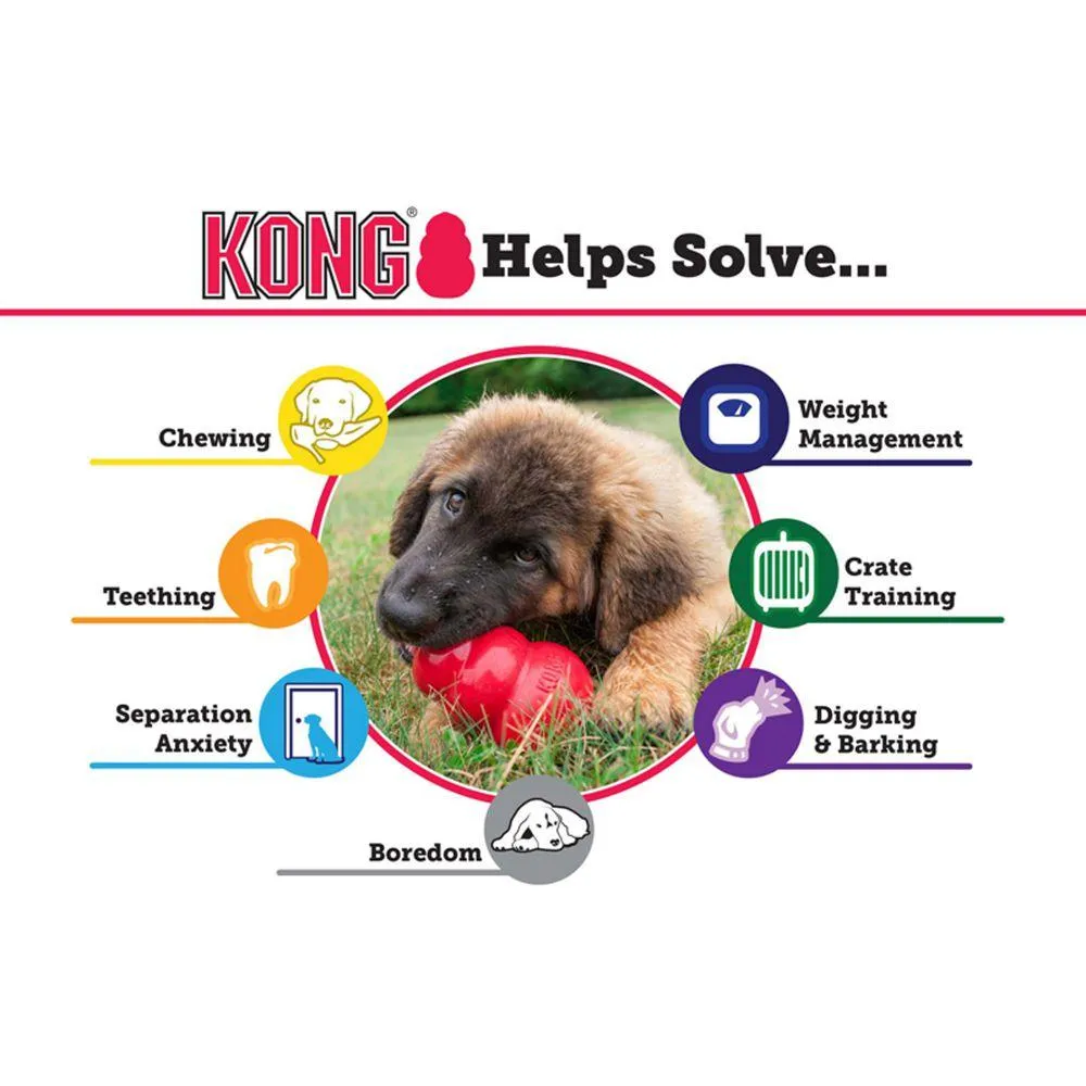 KONG® Senior