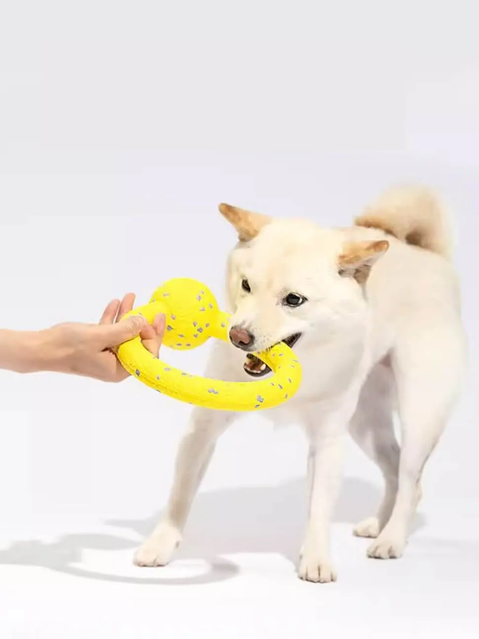 Lightweight Dog Puller Tug Bite-Resistant Toys