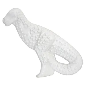 NYLABONE - Dinosaur Dental Chew