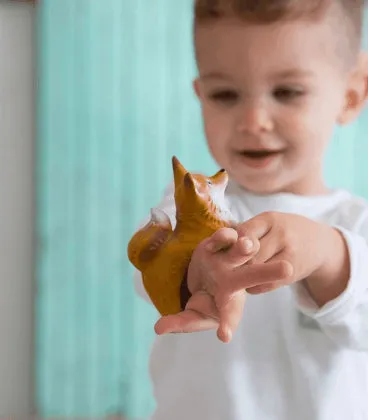 Oli and Carol Chewable Bracelet Rob the Fox