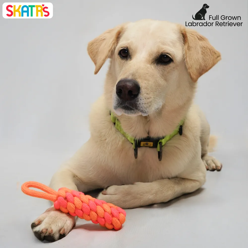 Skatrs Dummy Knotted Rope Chew Toy for Dogs and Cats (Pink/Orange)