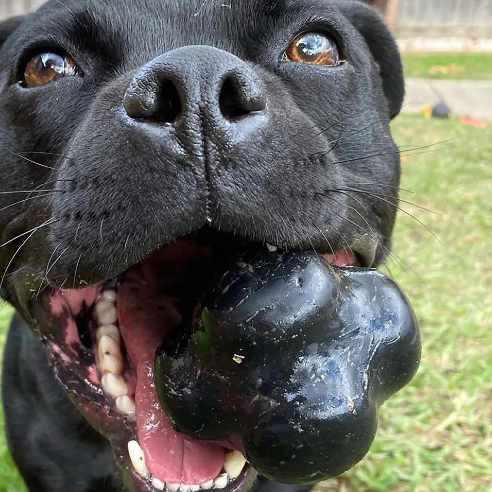 Soda Pup Crazy Bounce Magnum Black